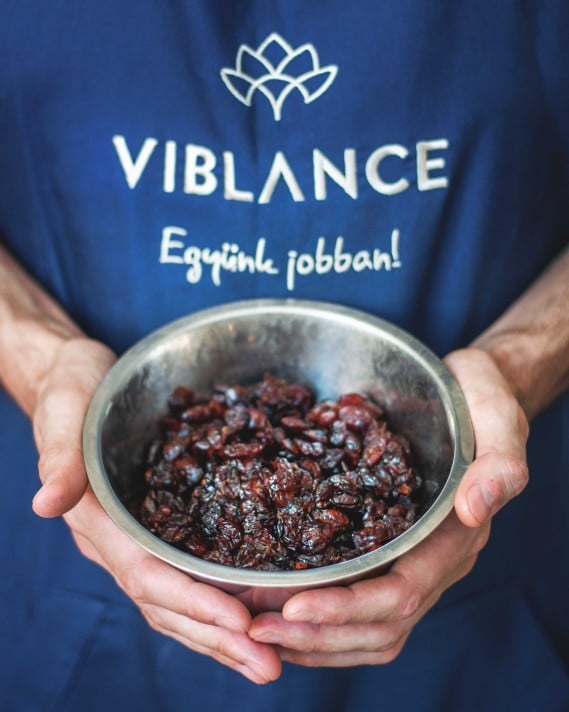 Viblance Dried Cranberries