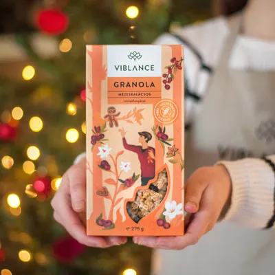 gingerbread granola christmas gift