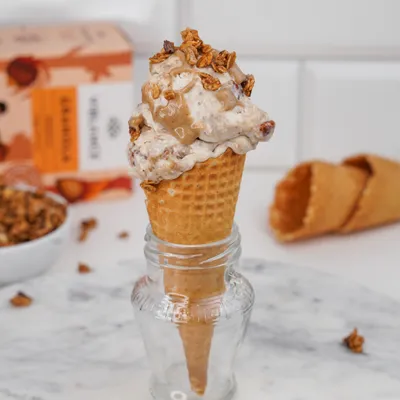 vegan home made icecream