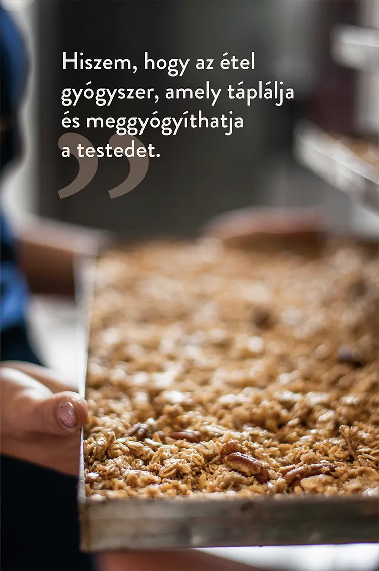 Viblance granola banner